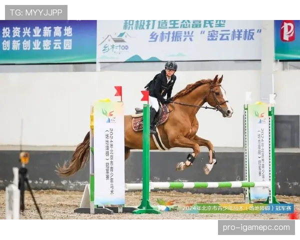 富里睡醒发现自家马场又多了一匹新马，账单比拳赛奖金还长